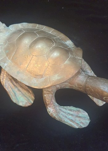 Kahverengi Deniz Kaplumbağası Heykeli Bronz CARETTA CARETTA - Görsel 2