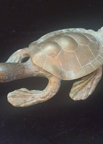 Kahverengi Deniz Kaplumbağası Heykeli Bronz CARETTA CARETTA - Görsel 4