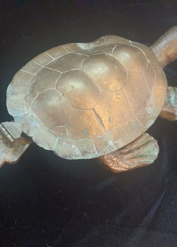 Kahverengi Deniz Kaplumbağası Heykeli Bronz CARETTA CARETTA - Görsel 11