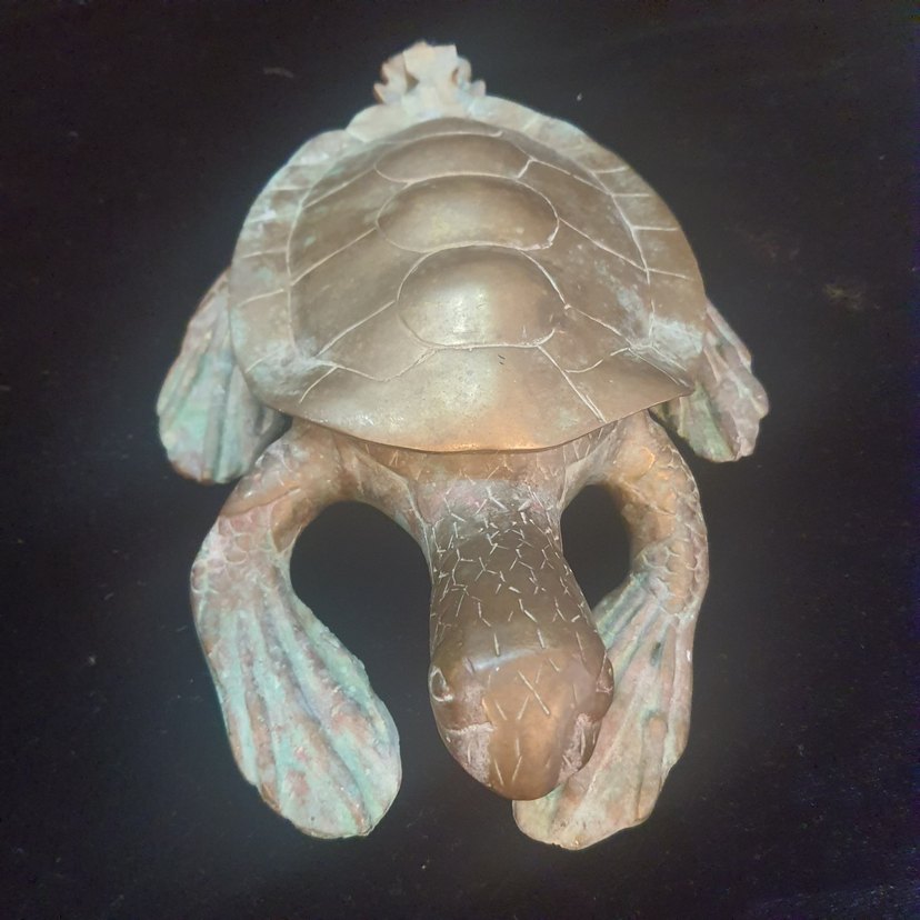 Kahverengi Deniz Kaplumbağası Heykeli Bronz CARETTA CARETTA - Görsel 3