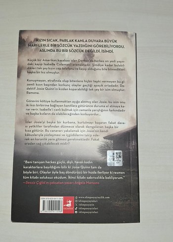 Kaybolan Kızlar - Dedektif Josie Quinn #1 - Görsel 2