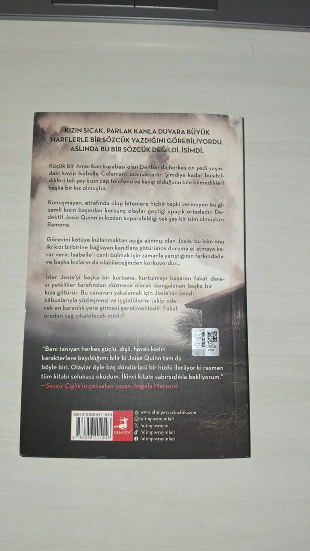 Kaybolan Kızlar - Dedektif Josie Quinn #1 - Görsel 2