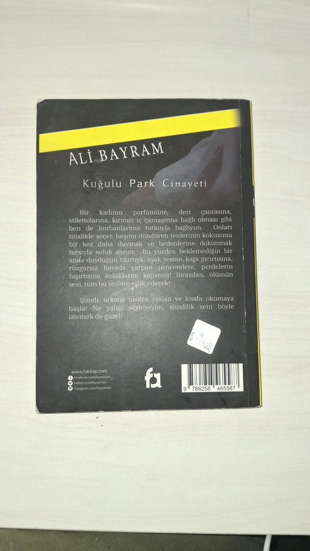 Kuğulu Park Cinayeti - Polisiye Roman - Görsel 2