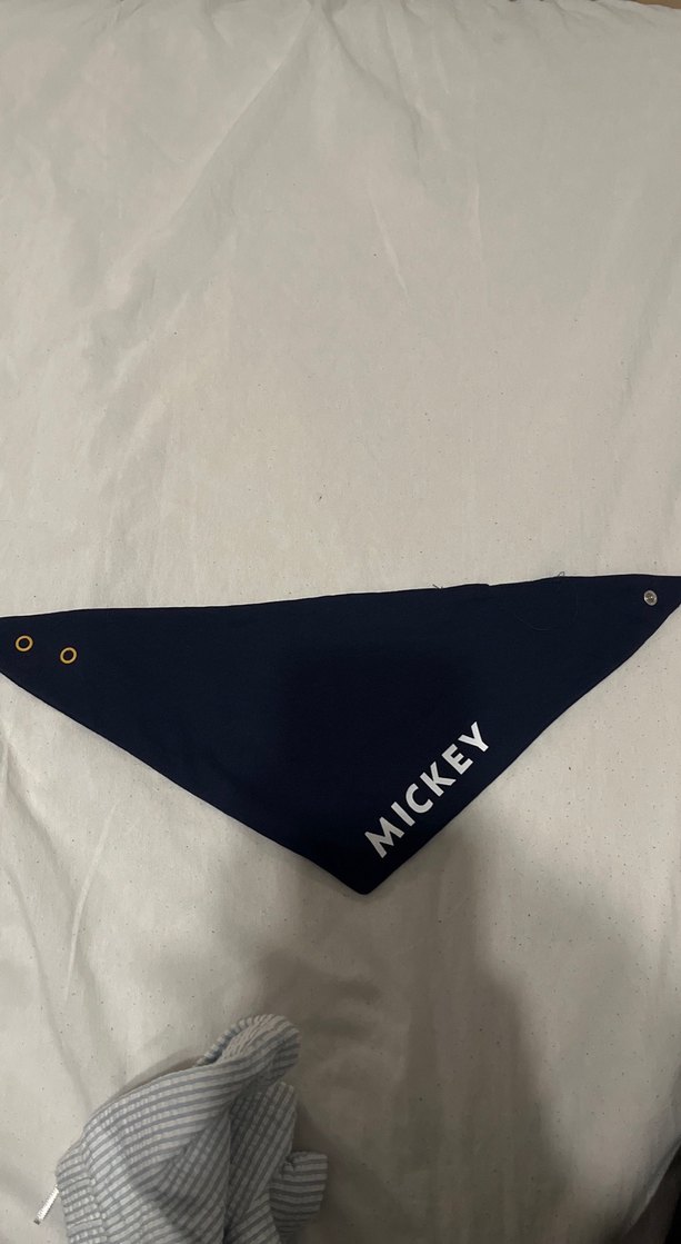 Mickey Baskılı Kahverengi Kedi Sweatshirtü - Görsel 3