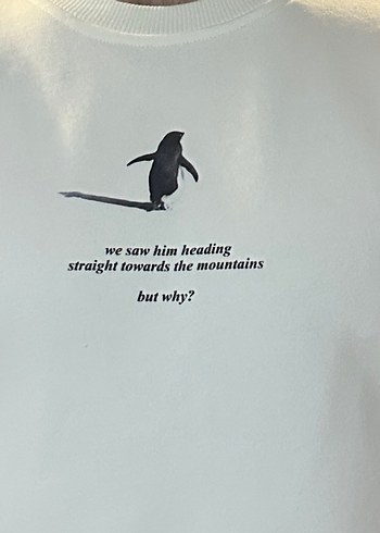 Baskılı Beyaz Erkek Tişört - Görsel 3