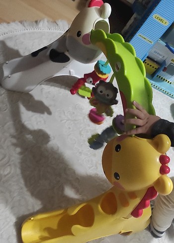 Fisher Price 15-36 kg