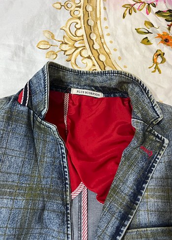 Gri Batik Desenli Denim Erkek Ceket - Görsel 3