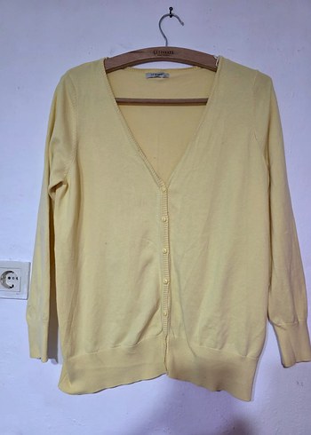 LC Waikiki Pastel Sari V Yaka İnce Triko Hirka