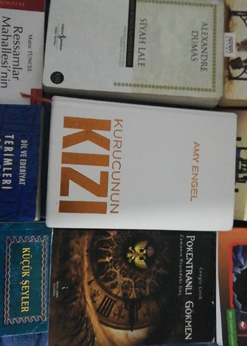 Çeşitli Türkçe Edebiyat ve Roman Kitapları - Görsel 2