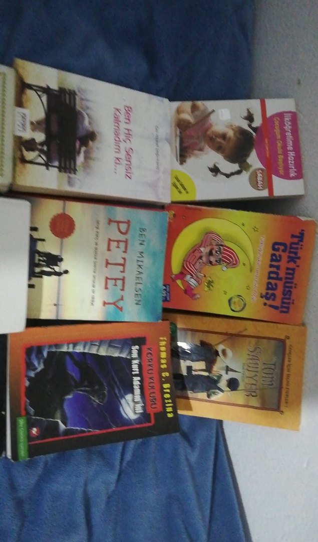 Çeşitli Türkçe Edebiyat ve Roman Kitapları - Görsel 3