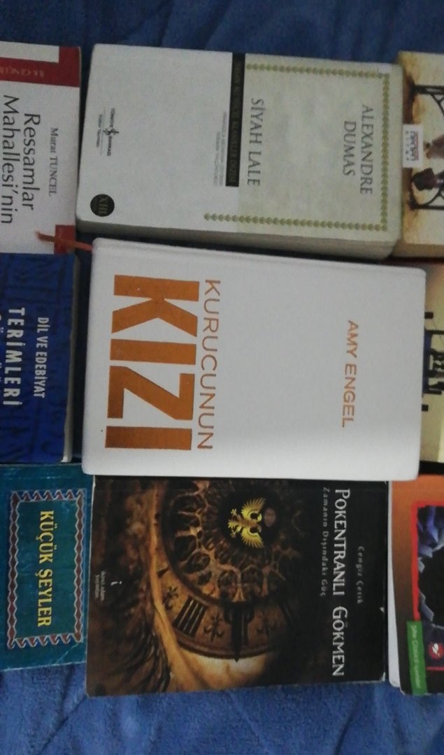Çeşitli Türkçe Edebiyat ve Roman Kitapları - Görsel 2