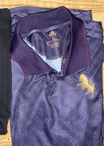 Polo yaka tshirt ve forma - Görsel 5