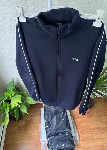 Lacoste l/xl
