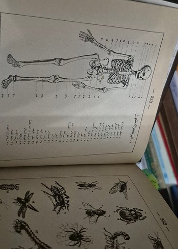 Arapça Türkçe Yeni Kamus Bekir Topaloğlu hayreddin sözlük - Görsel 7