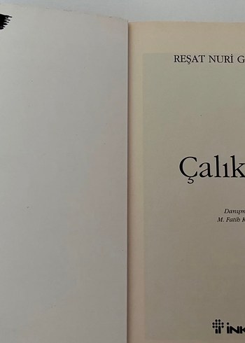 Çalıkuşu - Reşat Nuri Güntekin Romanı - Görsel 2