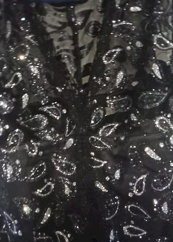 Siyah Payetli Nakışlı Uzun V Yaka Abiye Elbise - Görsel 3