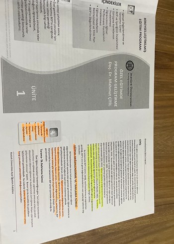 Ata aöf Özel Eğitimde Program Hazırlama Kitabı - Görsel 2