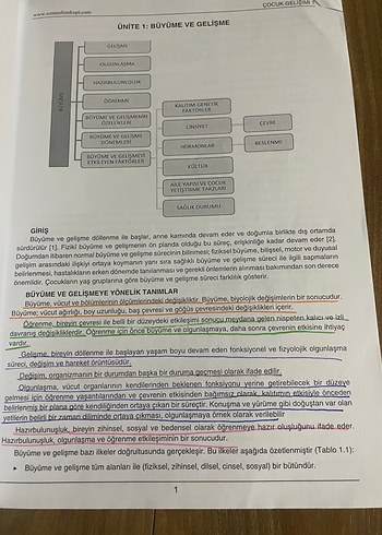 ATA AÖF Çocuk Gelişimi I Ders Özeti - Görsel 2