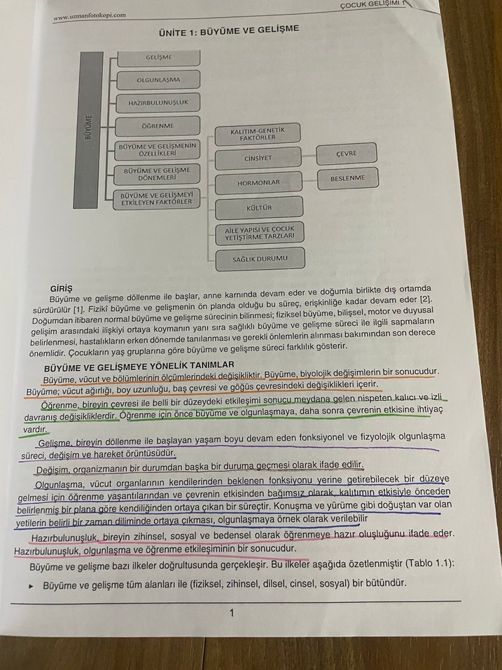ATA AÖF Çocuk Gelişimi I Ders Özeti - Görsel 2