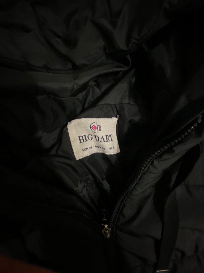 siyah Kapüşonlu Kadın Kışlık mont - Görsel 2