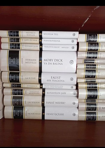 iŞBANKASI YAYINLARI CİLTLİ KLASİKLER Edebiyat Seti - 30 Kitap - Görsel 4