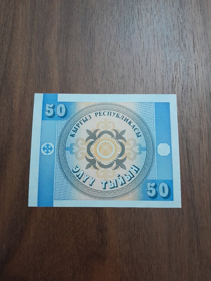 KIRGIZİSTAN  50 TİYİN * ÇİL - Görsel 2
