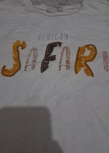 Baskılı Gri ve Camel cocuk tisort - Görsel 3