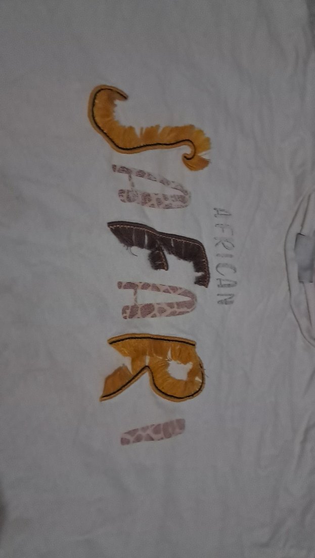 Baskılı Gri ve Camel cocuk tisort - Görsel 4