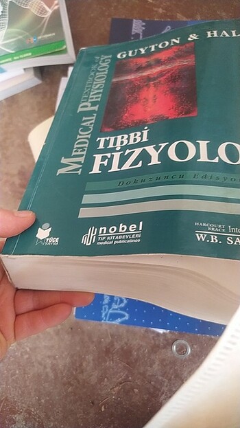 15-36 kg Beden Tıbbi fizyoloji