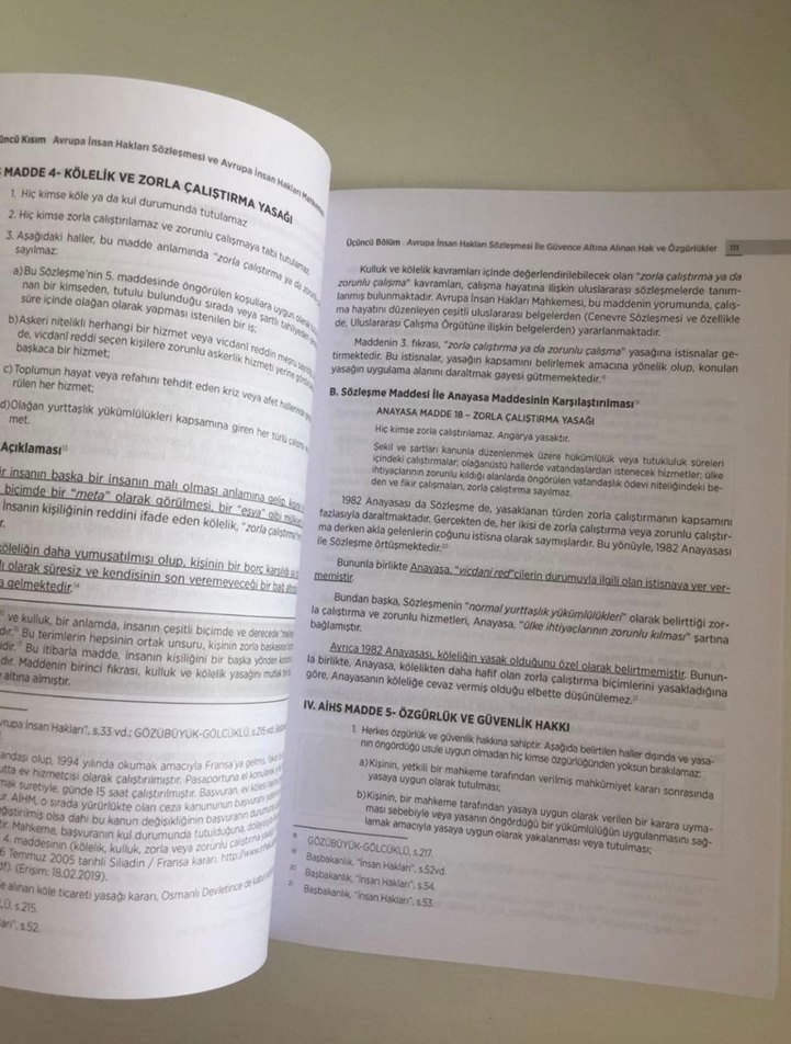 İnsan Hakları ve Demokratikleşme - Reşit Gürbüz - Görsel 2