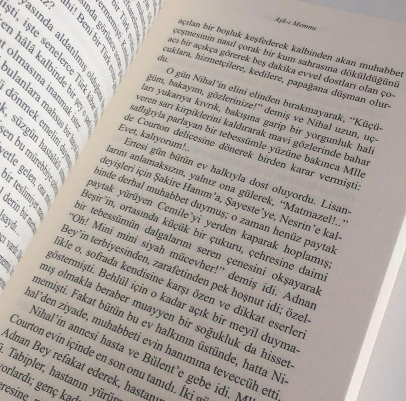 Aşk-ı Memnu - Halit Ziya Uşaklıgil - Görsel 2