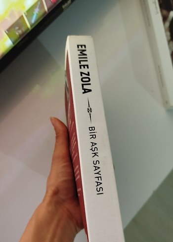 Emile Zola - Bir Aşk Sayfası - Görsel 3