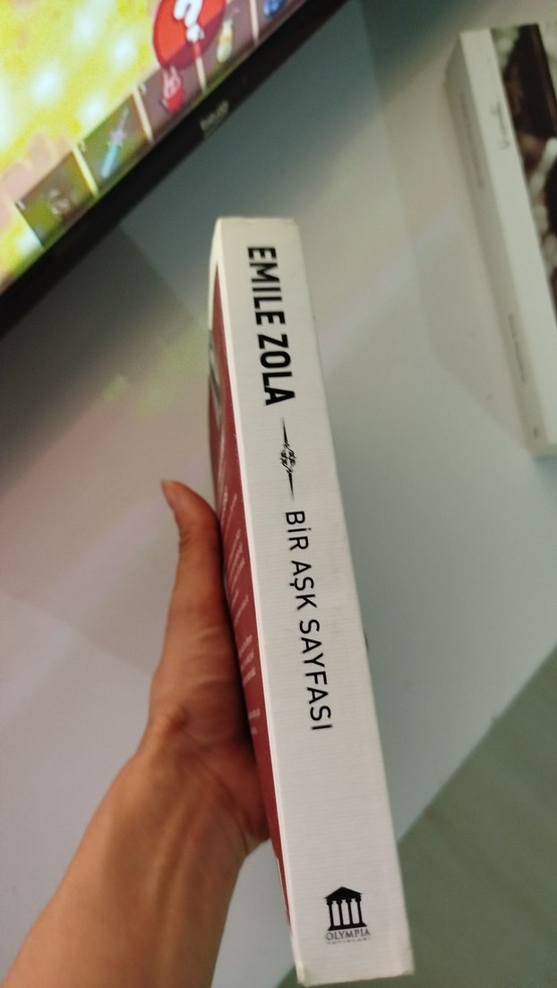 Emile Zola - Bir Aşk Sayfası - Görsel 3