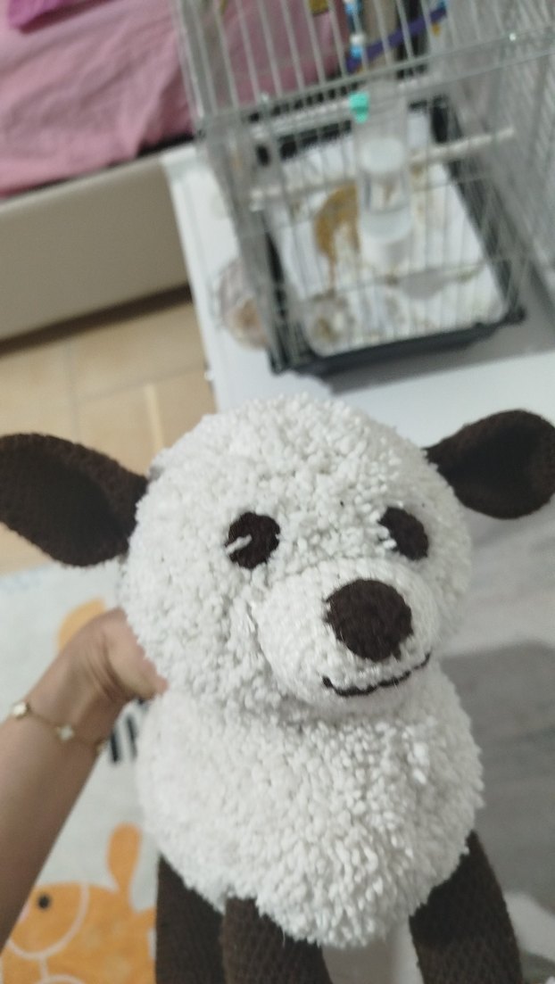 Beyaz ve Gri Peluş Köpek Oyuncakları - Görsel 4