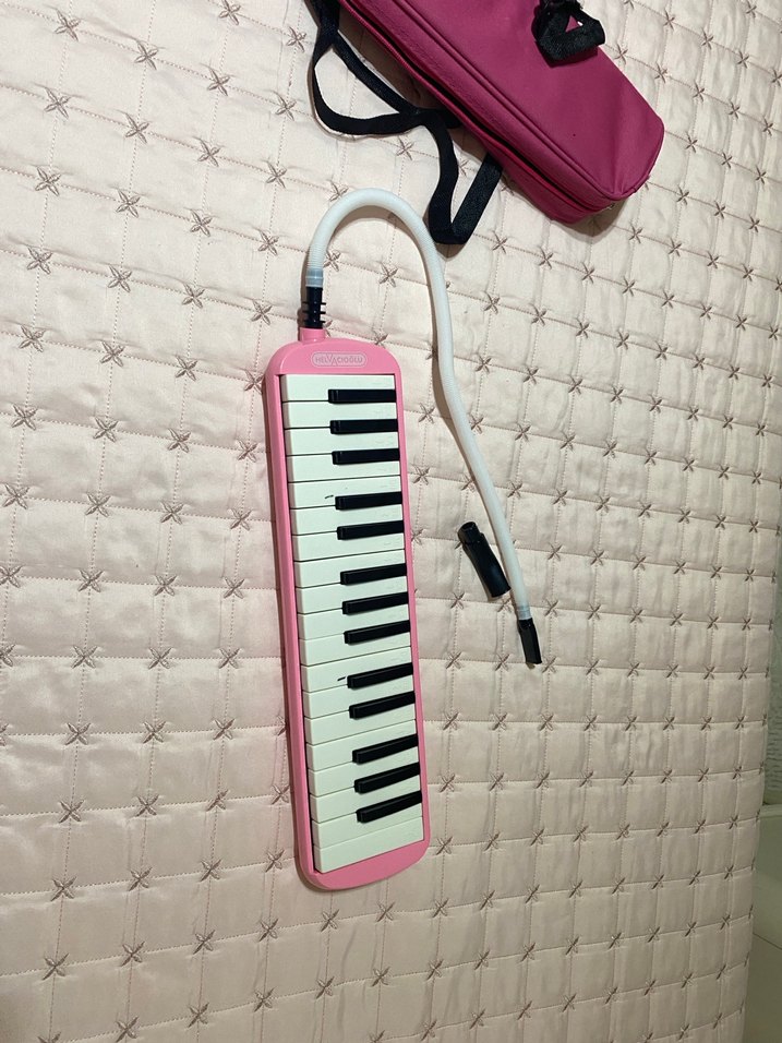 Pastel Pembe Melodika ve Taşıma Çantası - Görsel 3