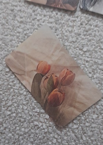 nayeon pc - Görsel 2