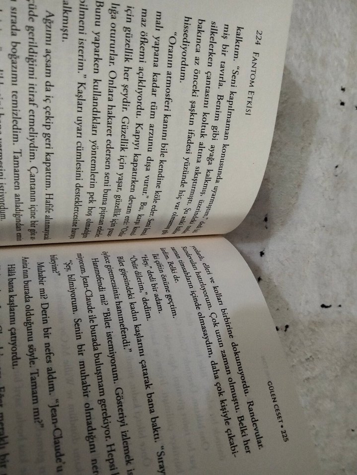 Fantom Etkisi - Selin Solaris - Görsel 2