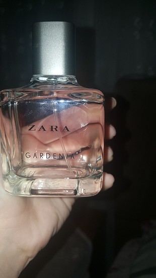 Zara zara gardenia 