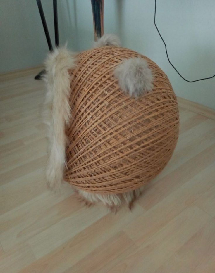 Hasır Kürklü Kedi Yuvası - Görsel 4