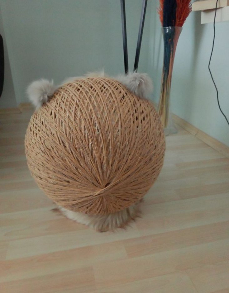 Hasır Kürklü Kedi Yuvası - Görsel 3