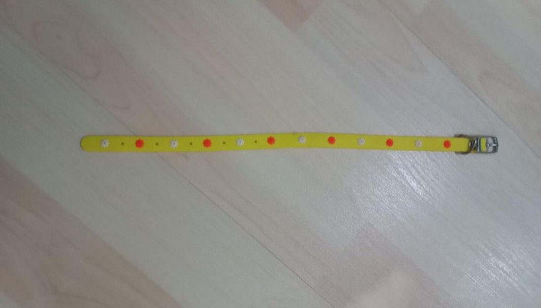 Sarı Renkli Kedi Boyunluğu - Görsel 3