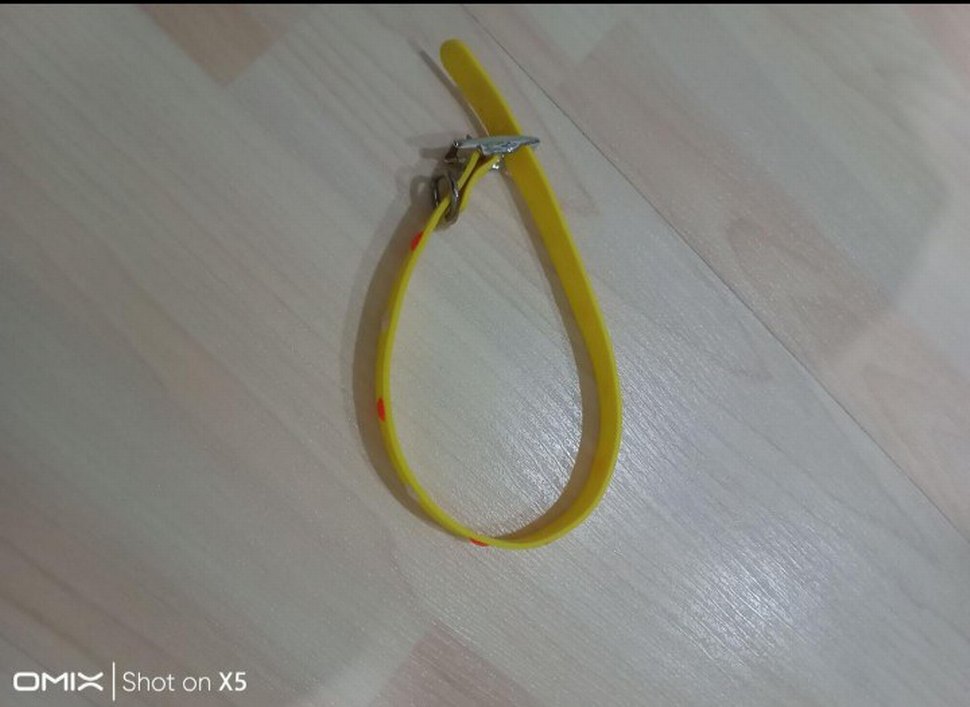 Sarı Renkli Kedi Boyunluğu - Görsel 2