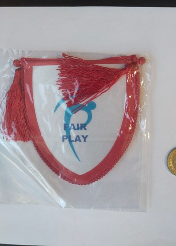 Türkiye Futbol Federasyonu Kırmızı flama - Görsel 2