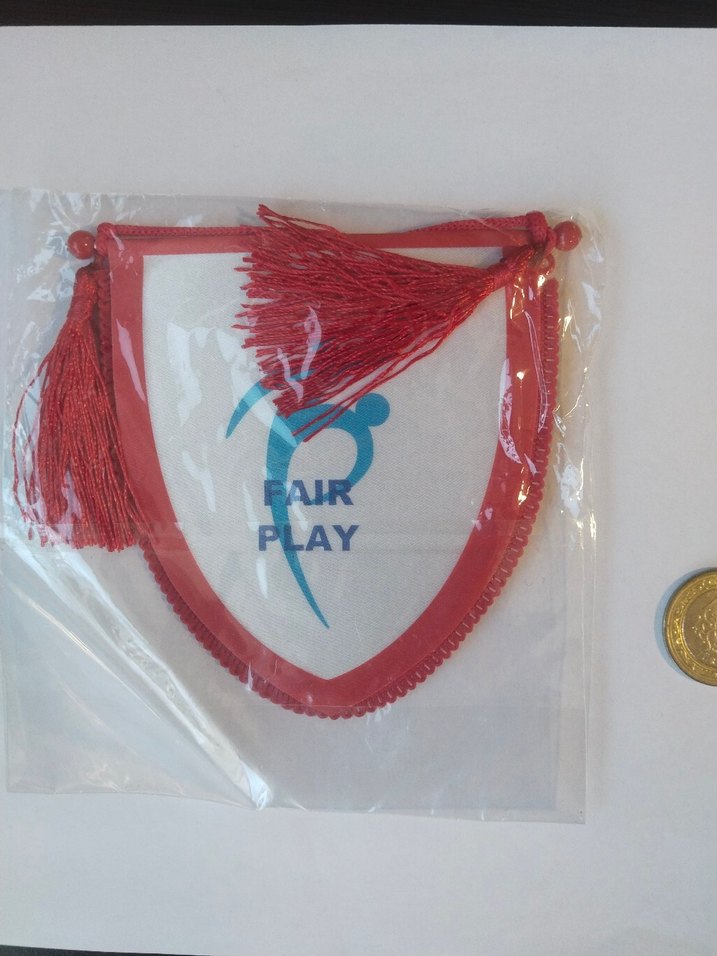 Türkiye Futbol Federasyonu Kırmızı flama - Görsel 2