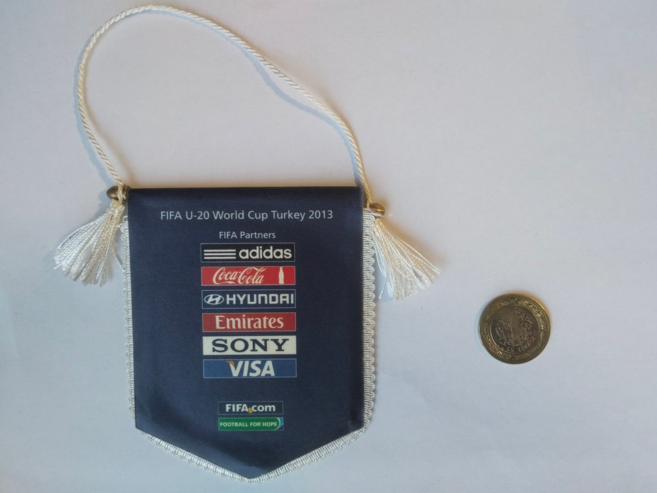 2013 FIFA U-20 Dünya Kupası Türkiye  flama kücük - Görsel 2