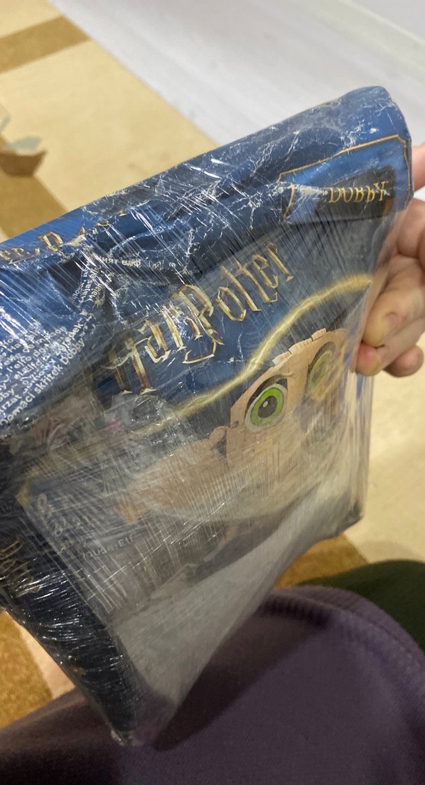 LEGO Dobby Figür Seti - Görsel 2