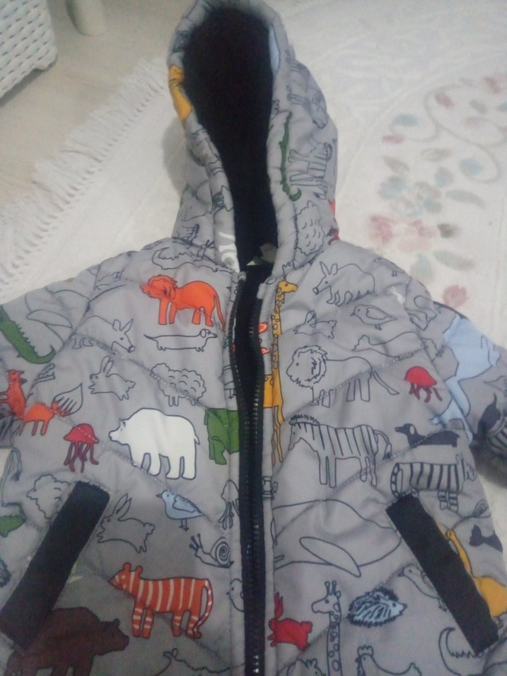 Kapüşonlu, Fermuarlı Gri Baskılı Erkek Çocuk Mont - Görsel 2