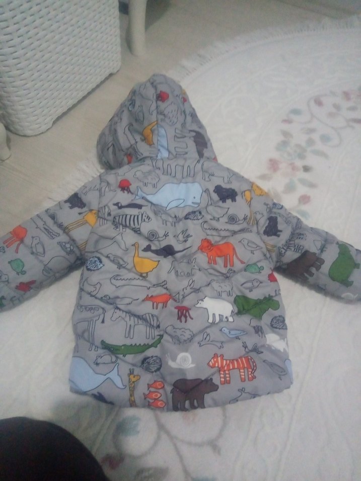 Kapüşonlu, Fermuarlı Gri Baskılı Erkek Çocuk Mont - Görsel 3