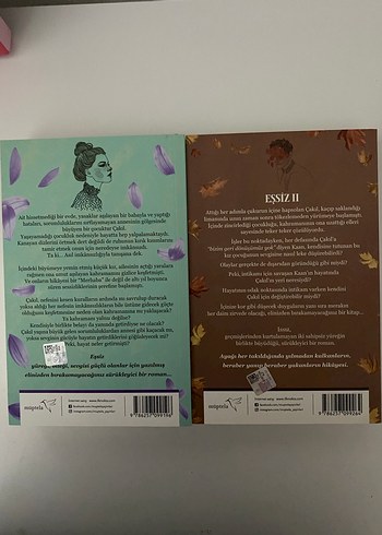 Elçin Esin - Eşsiz ve Issız Romanları - Görsel 2