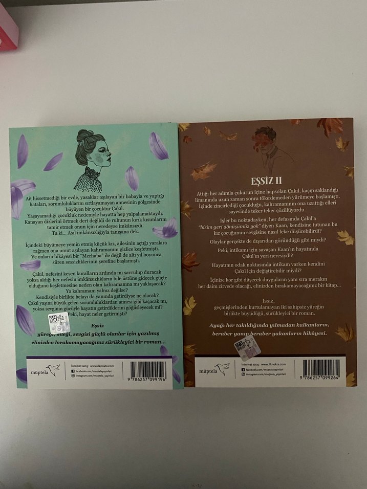 Elçin Esin - Eşsiz ve Issız Romanları - Görsel 2